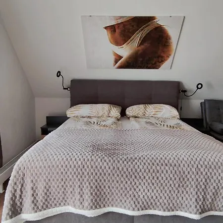 Schicke Ferien Mit Tollem Ausblick In Schwarzwald. Villingen-Schwenningen