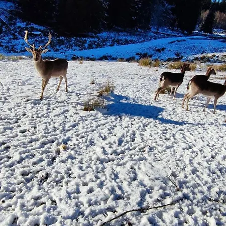 Schicke Ferien Mit Tollem Ausblick In Schwarzwald.