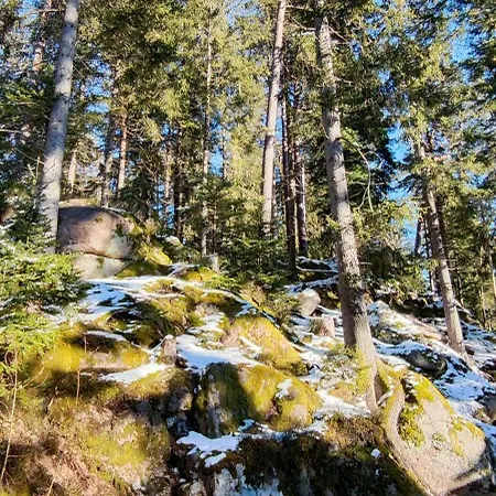 Schicke Ferien Mit Tollem Ausblick In Schwarzwald. شقة