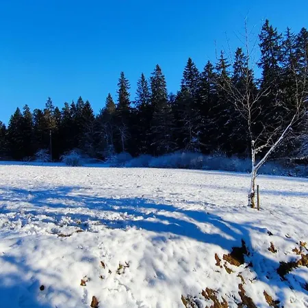 Apartmán Schicke Ferien Mit Tollem Ausblick In Schwarzwald. Villingen-Schwenningen