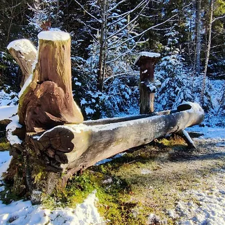 شقة Schicke Ferien Mit Tollem Ausblick In Schwarzwald. فيلينغن سشفايننغ